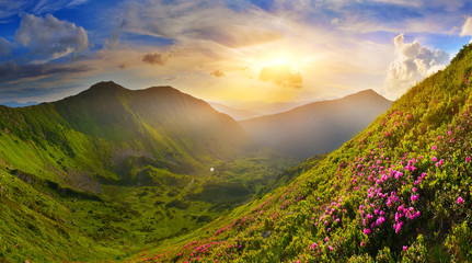 Wall Mural - summer mountains