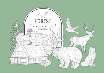 Sticker - Forest Themed Vintage Sketch