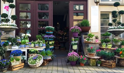 Fotomurales - Blumenladen im Frühling