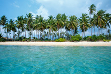 Tropical Beach And Coconut Palms In Koh Samui, Thailand