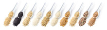 Grains. From Left: Oats, Black Rice, Brown Rice, Carnaroli Rice, Buckwheat, Basmati Rice, Khorasan Wheat, Barley, Quinoa, Spelt