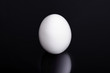 Weißes Ei Hühnerei auf schwarzen Hintergrund