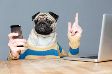 Poster - Dog with man hands using mobile phone and pointing up