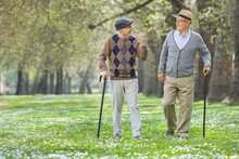 Two Cheerful Elderly Men Walking In A Park