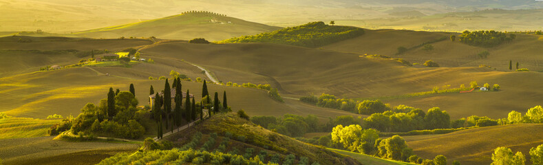 Wall Mural - beautiful morning in tuscany