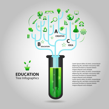Ecology infographics 02