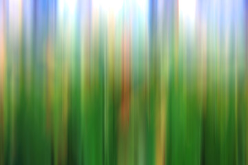 Wall Mural - blur fresh green spring foliage gradient background motion