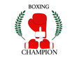 Boxing Champion 1