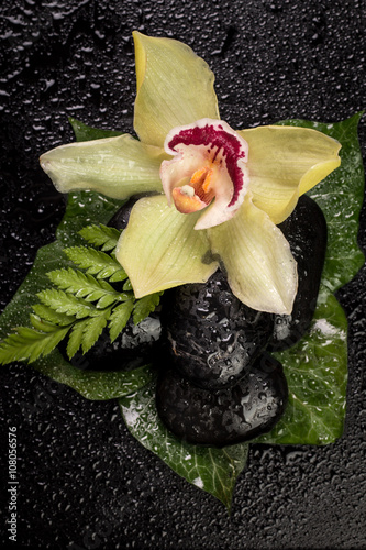 Plakat na zamówienie spa concept with stones, flowers , essential oils and mineral salt on wooden table