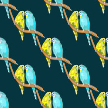 Parrot Australian Colorful