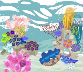 Wall Mural - underwater landscape with different corals and tridacna