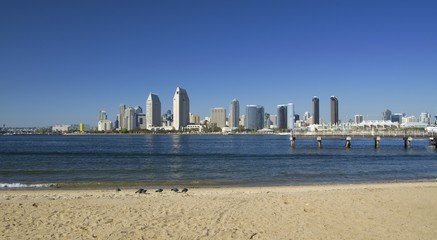 Wall Mural - Skyline of San Diego downtown