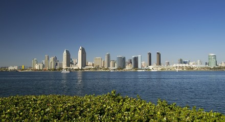 Wall Mural - Skyline of San Diego downtown