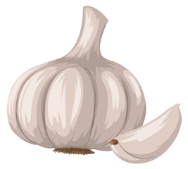 Sticker - Fresh garlic on white background