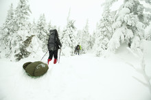 Caucasian Hikers Walking In Snowy Forest