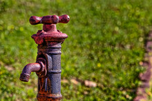 Old Rusty Looking Faucet With Grassy Background