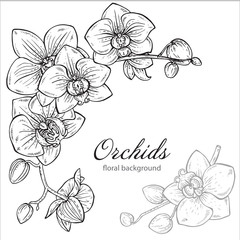 Wall Mural - Beautiful monochrome vector floral background with orchid flower