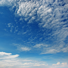 Naklejka na meble white clouds in blue sky
