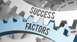 © Coloures-Pic - Cogwheel / Success Factors