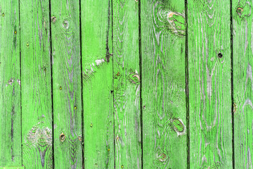 Green wood background texture from old wooden planks