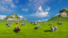 Farm Landscape With A Herd Of Mottled Dairy Cows Grazing On A Verdant Alpine Pasture At Sunny Day. Static Shot. High Angle View. Realistic 3D Animation.