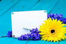 Blank Note Card By Spring Flowers