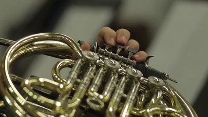 Wall Mural - Keys and valves of a concert french horn in the hands of a musician