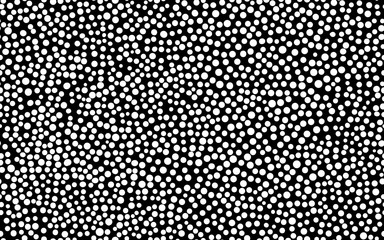 Wall Mural - rectangle seamless pattern with white dots on black background