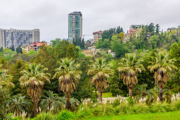 City Park in Sochi with beautiful view of the city, Russia.