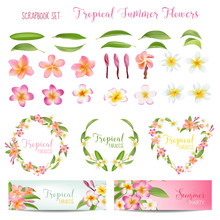 Tropical Flowers And Leaves Set. Exotic Plumeria Flower. Floral Decoration