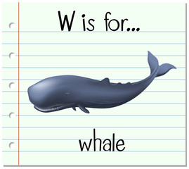 Poster - Flashcard letter W is for whale