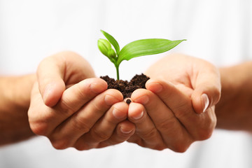 Male hands holding soil and plant, closeup