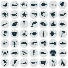 Set of forty nine sea animals icon