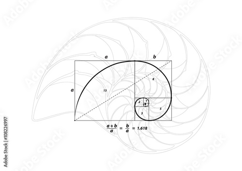 Fotomural Golden section (ratio, divine proportion) and golden spiral on black and Shell l
