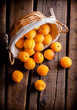 Apricots group in basket on old rustic wooden table and dark background