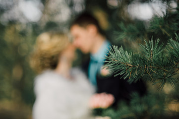 Bride and groom in a park kissing.couple newlyweds bride and groom at a wedding in nature green forest are kissing photo portrait.Wedding Couple