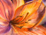 Closeup of orange lily flower.Picture created with watercolors.