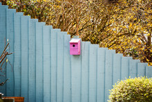 Pink Birdhouse On The Green Fence
