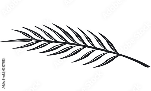 Palmzweig Palm Bestattungen Adobe Stock