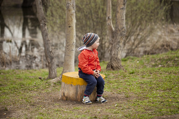 Little boy sitting on a stump in the spring park