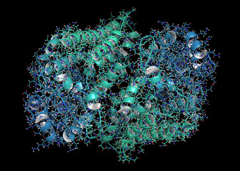 Poster - Indoleamine 2,3 dioxygenase 1 (IDO1) protein. 