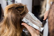 Hairdresser Applying Dye On Customer's Hair In Salon