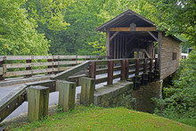 Old Covered Bridge Surrounded With Green Leaves.