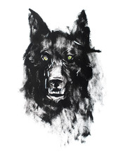 Watercolor Drawing Of Black Angry Looking Wolf. Animal Portrait On White Background.
