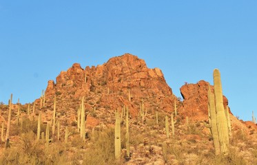 Arizona Mountains Under a Blue Sky 2