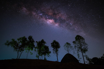 Wall Mural - milky way, night sky with trees and tent on land.