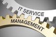 © Coloures-Pic - IT Service Management / Cogwheel