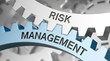 © Coloures-Pic - risk management / Cogwheel