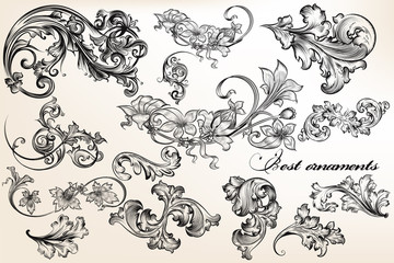 Wall Mural - Collection of vector calligraphic flourishes and swirls