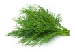  A bunch of fresh dill 